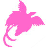 Bird of Paradox logo